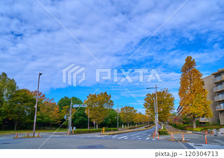 秋の東京都稲城市若葉台2丁目の若葉台西交差点付近から北西側の3丁目方面を見る 秋の東京都稲城市若葉台2丁目の若葉台西交差点付近から北西側の3丁目方面を見る 120304713