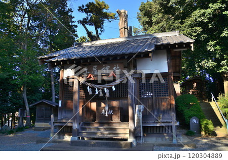 埼玉県坂戸市浅羽野のパワースポット 土屋神社 埼玉県坂戸市浅羽野のパワースポット 土屋神社 120304889