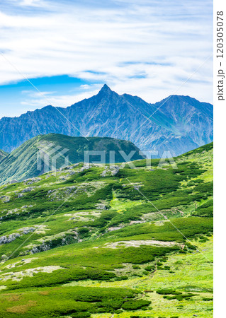 双六岳の中道分岐点から見る槍ヶ岳と樅沢岳 北アルプス双六岳三俣蓮華岳登山 双六岳の中道分岐点から見る槍ヶ岳と樅沢岳 北アルプス双六岳三俣蓮華岳登山 120305078