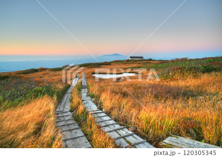 夕陽に映える草紅葉 120305345