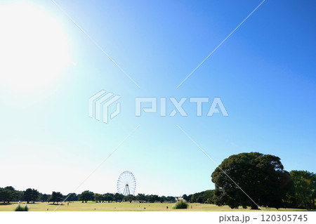 休日の公園　秋 120305745