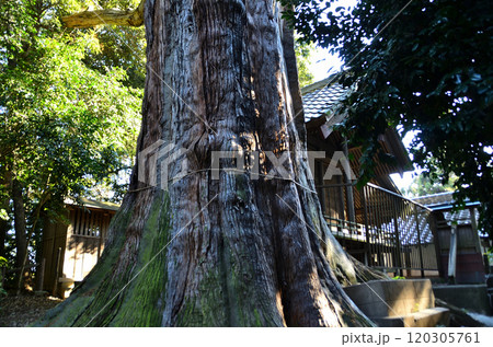 埼玉県坂戸市浅羽野のパワースポット 土屋神社 埼玉県坂戸市浅羽野のパワースポット 土屋神社 120305761
