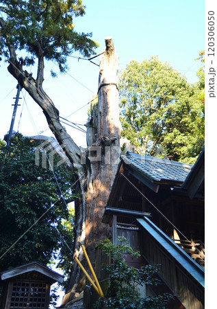 埼玉県坂戸市浅羽野のパワースポット 土屋神社 埼玉県坂戸市浅羽野のパワースポット 土屋神社 120306050