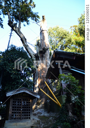 埼玉県坂戸市浅羽野のパワースポット　土屋神社 120306051