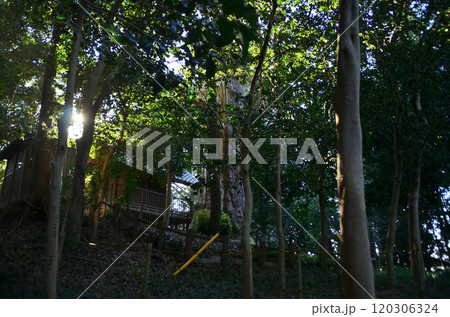 埼玉県坂戸市浅羽野のパワースポット　土屋神社 120306324