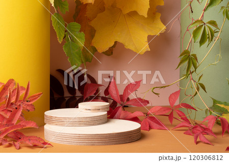Three autumn catwalks made of natural wood with autumn shades of orange, yellow, green, red. Showcase, product presentation. A minimalistic branding scene. Three autumn catwalks made of natural wood with autumn shades of orange, yellow, green, red. Showcase, product presentation. A minimalistic branding scene. 120306812