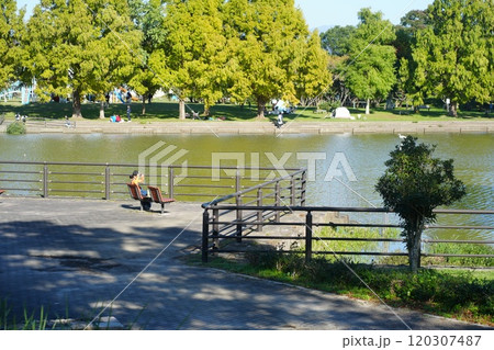 滋賀県　奥びわスポーツの森の風景 120307487