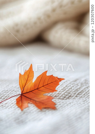 A cozy autumn afternoon with an orange leaf resting on a soft white bedspread indoors 120307600
