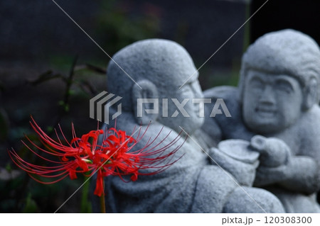 情熱の花 120308300
