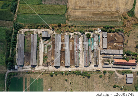 Bio farm, countryside cowshed, hangars, dairy cows, bio agricultural fields aerial 120308749