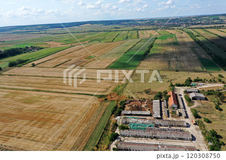 Bio farm, countryside cowshed, hangars, dairy cows, bio agricultural fields aerial Bio farm, countryside cowshed, hangars, dairy cows, bio agricultural fields aerial 120308750