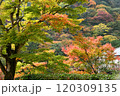 紅葉の善峯寺 120309135