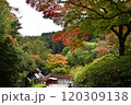 紅葉の善峯寺 120309138