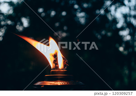 burning torch in a forest in the dark burning torch in a forest in the dark 120309257