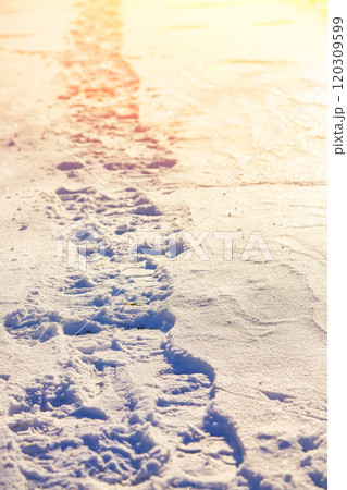 View of footprints in the snow during sunset 120309599