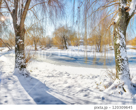 Fabulous landscape in city park with snowy trees and beautiful frozen river and footbridge 120309645