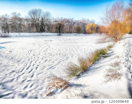Breathtaking landscape in city park with snowy trees and lots of snow Breathtaking landscape in city park with snowy trees and lots of snow 120309649