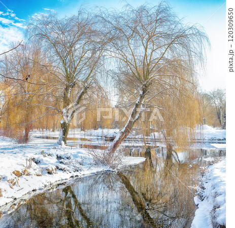 Stunning landscape with snowy trees, beautiful frozen river with reflection in water. 120309650