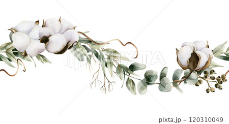 Eucalyptus branches with cotton flowers. Seamless Border of watercolor hand painted isolated floral illustrations with Silver Dollar, Seeded Eucalypt for wedding, Christmas winter design Eucalyptus branches with cotton flowers. Seamless Border of watercolor hand painted isolated floral illustrations with Silver Dollar, Seeded Eucalypt for wedding, Christmas winter design 120310049