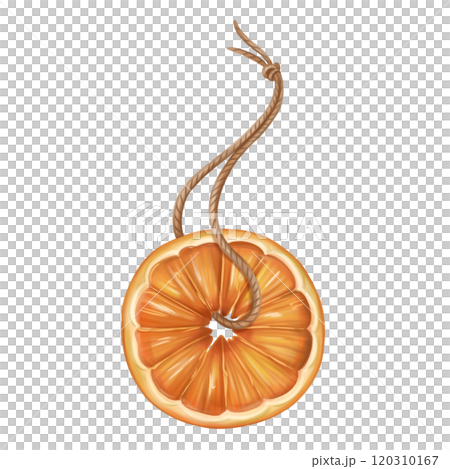 A Christmas tree toy made of dried orange on a string, an organic decoration for home and winter holidays. A handmade gift from organic materials. Sustainable new year and xmas. Isolated illustration A Christmas tree toy made of dried orange on a string, an organic decoration for home and winter holidays. A handmade gift from organic materials. Sustainable new year and xmas. Isolated illustration 120310167