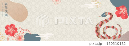 Horizontal banner with elements of Chinese New Year of the Snake. Traditional patterns, stylized snake. Translated from Chinese - Happy New Year. Vector 120310182
