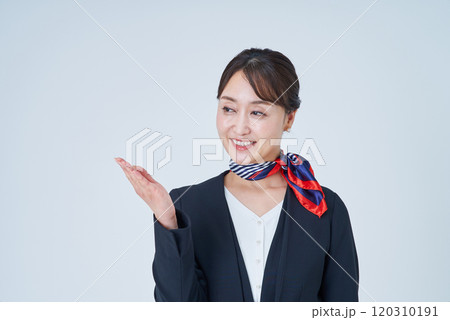 案内のポーズをするスーツ姿の女性 案内のポーズをするスーツ姿の女性 120310191