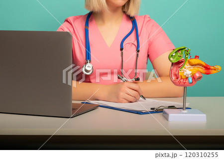 anatomical model pancreas on work desk of doctor anatomical model pancreas on work desk of doctor 120310255