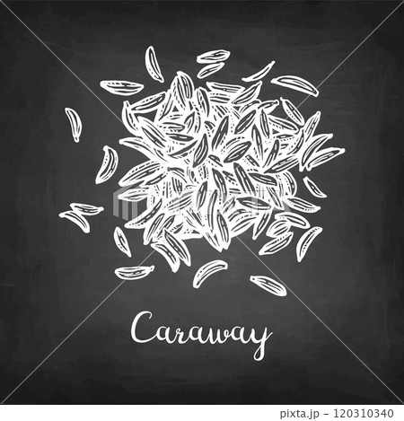 Caraway seeds chalk sketch. Caraway seeds chalk sketch. 120310340