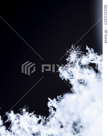 winter photo of snowflakes in the snow winter photo of snowflakes in the snow 120310398