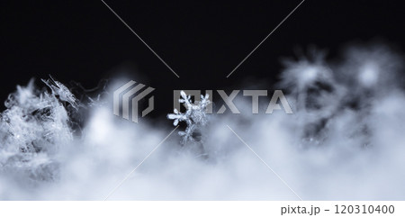 winter photo of snowflakes in the snow 120310400