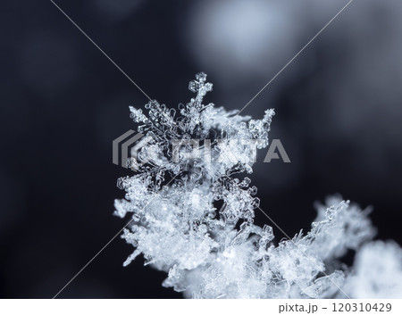 winter photo of snowflakes in the snow winter photo of snowflakes in the snow 120310429