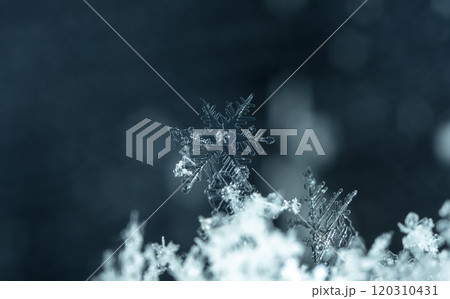winter photo of snowflakes in the snow 120310431
