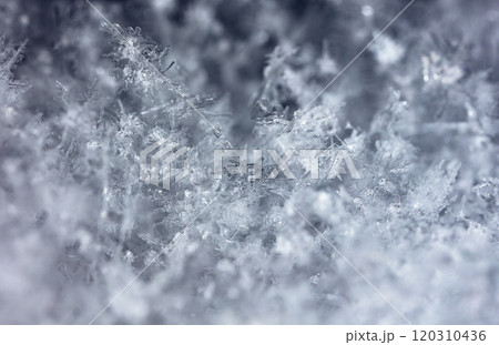 winter photo of snowflakes in the snow winter photo of snowflakes in the snow 120310436