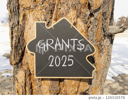 Planning grants 2025 new year symbol. Concept words Grants 2025 on beautiful yellow chalk blackboard. Beautiful old tree and sand background. Business grants 2025 new year concept. Copy space. 120310578