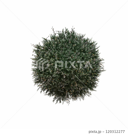 Christmas tree with decorations, isolated on white background, 3D illustration, cg render Christmas tree with decorations, isolated on white background, 3D illustration, cg render 120312277