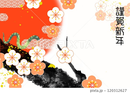 巳年年賀状 巳年年賀状 120312627