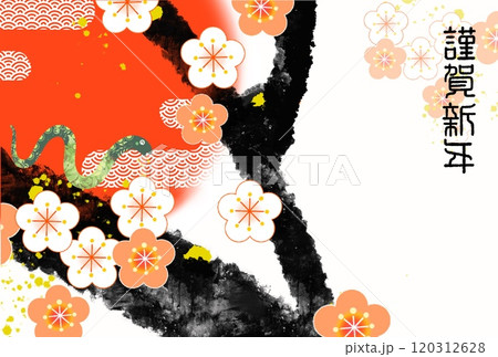 巳年年賀状 巳年年賀状 120312628