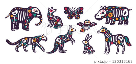 Dia de los muertos animals. Mexican day of dead. Skulls and bones with decorative flowers. Fauna characters. Elephant and tiger skeletons. Sugar skull. Halloween mammals. Garish vector set 120313165