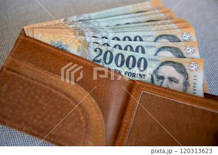 Hungarian forint banknotes in a brown leather wallet. Hungarian forint banknotes in a brown leather wallet. 120313623