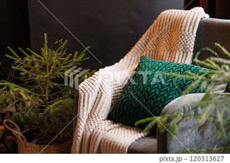 A cozy chair with a green pillow and a beige blanket next to a live spruce tree in a pot. 120313627