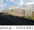 ビニールハウス 120313681