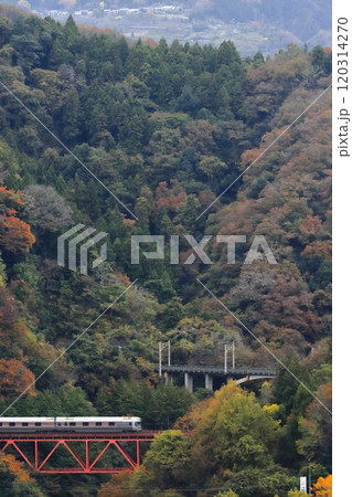 紅葉豊かな中央本線の山岳区間を駆け上る甲府行きカシオペア紀行_2024/11/16撮影 紅葉豊かな中央本線の山岳区間を駆け上る甲府行きカシオペア紀行_2024/11/16撮影 120314270