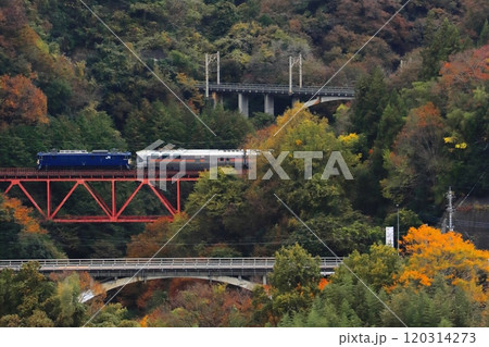 紅葉豊かな中央本線を駆け上るEF64-1032号機牽引のカシオペア紀行_2024/11/16撮影 120314273