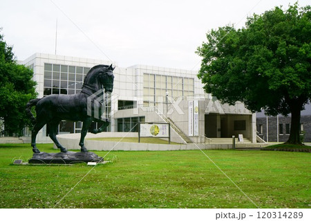 7333　群馬県立近代美術館 120314289