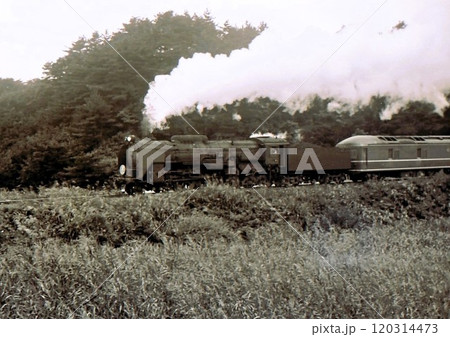 昭和42年　蒸気機関車C62牽引　寝台特急ゆうづる　20系寝台車　常磐線　広野ー木戸　青森発上野行 120314473