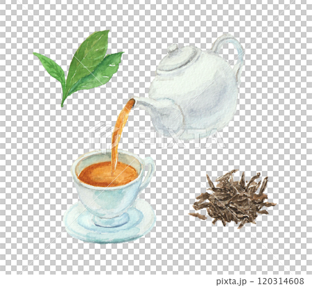 水彩絵の具で描いた紅茶を注ぐイメージ 120314608