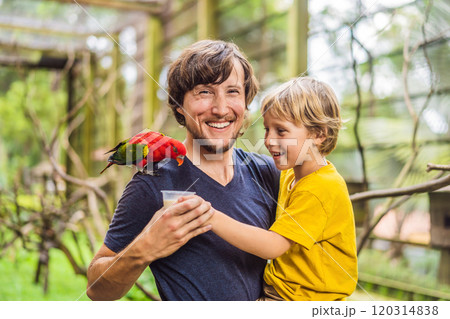 Dad and son feed the parrot in the park. Spending time with kids concept 120314838