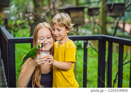 Mom and son feed the parrot in the park. Spending time with kids concept 120314900