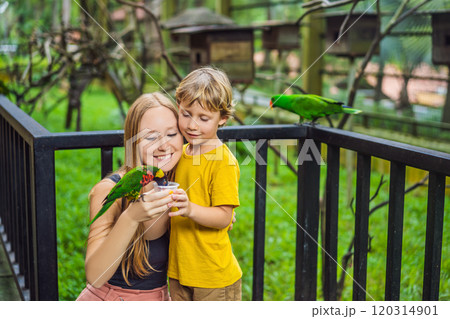 Mom and son feed the parrot in the park. Spending time with kids concept 120314901