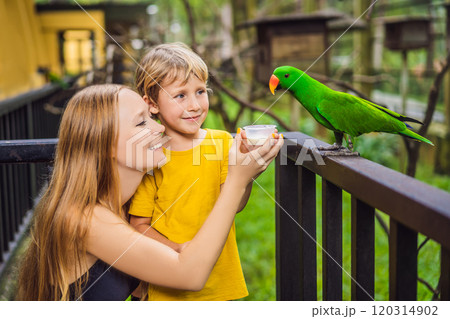 Mom and son feed the parrot in the park. Spending time with kids concept 120314902